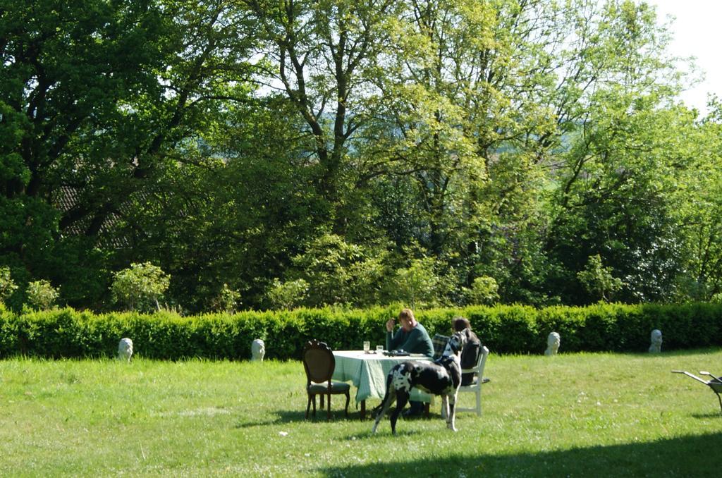 Chateau Neufays ティユー エクステリア 写真