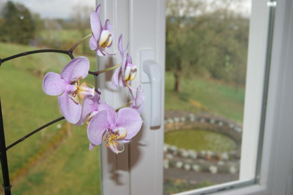 Chateau Neufays ティユー 部屋 写真
